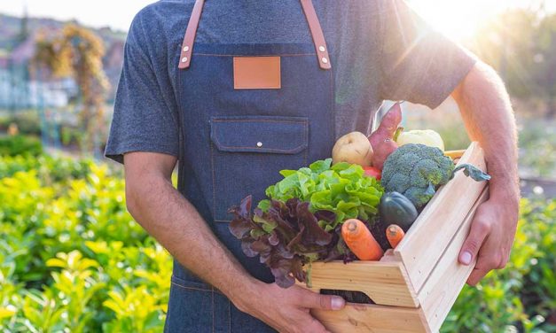 Seasonal boxes – the new way to shop produce