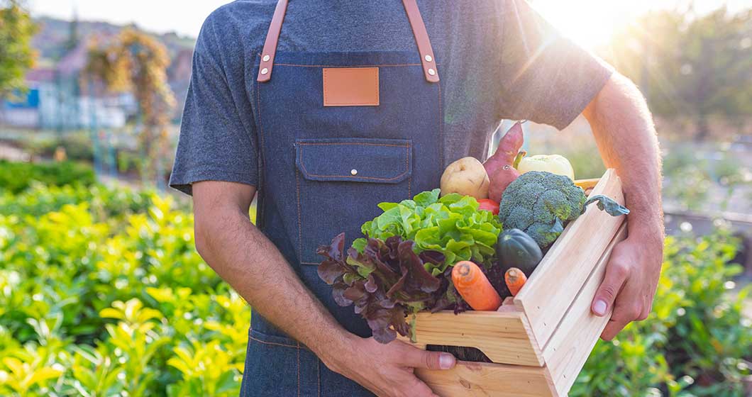 Seasonal boxes – the new way to shop produce