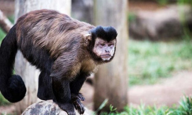 What to do these school holidays