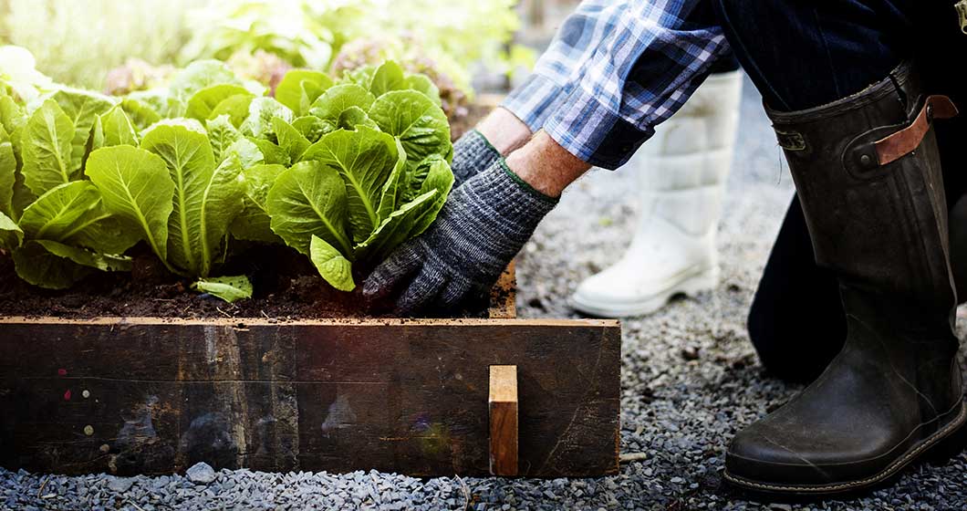 3 super cool and local ways to be more green