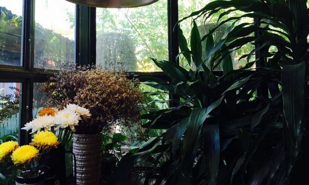 3 places to go garden brunching