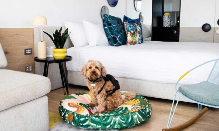 The coolest ways to treat your pup this weekend