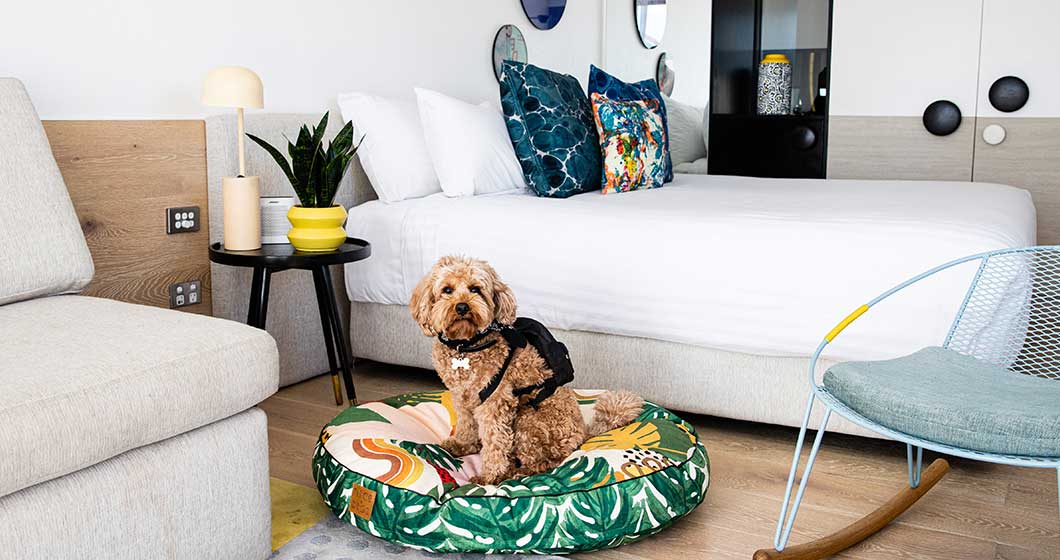 The coolest ways to treat your pup this weekend