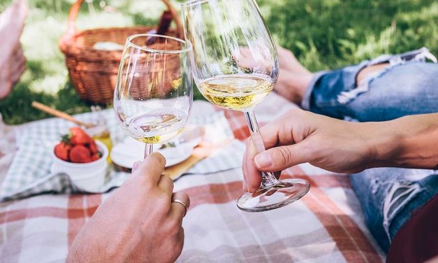 Pop-Up Bars Travelling Around Canberra