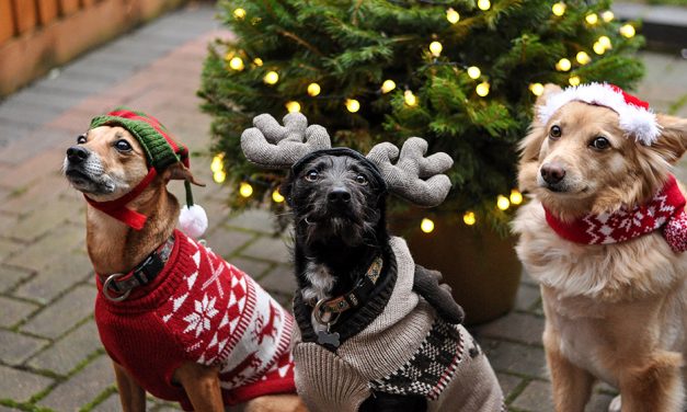 What’s On This Weekend