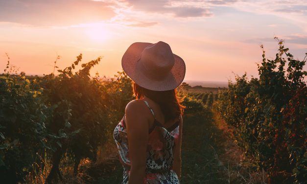 What’s on this Weekend