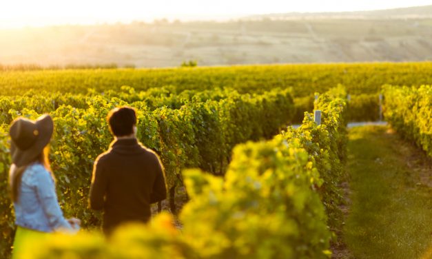 What’s On This Long Weekend