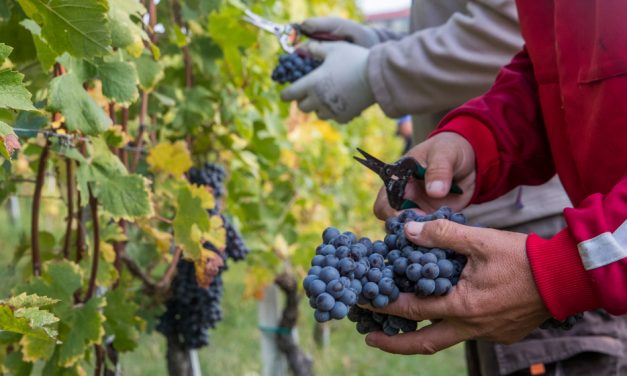 What’s On This Weekend