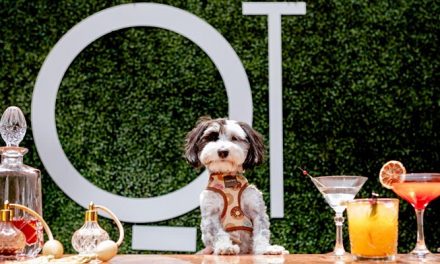 Barkfest