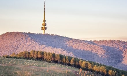 Best Spots to Take the Kids for Play Outside Day