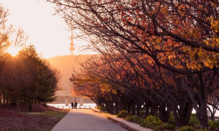 Canberra Getaway! Your Perfect 2-Day Itinerary
