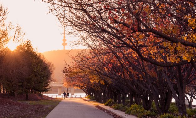 Canberra Getaway! Your Perfect 2-Day Itinerary