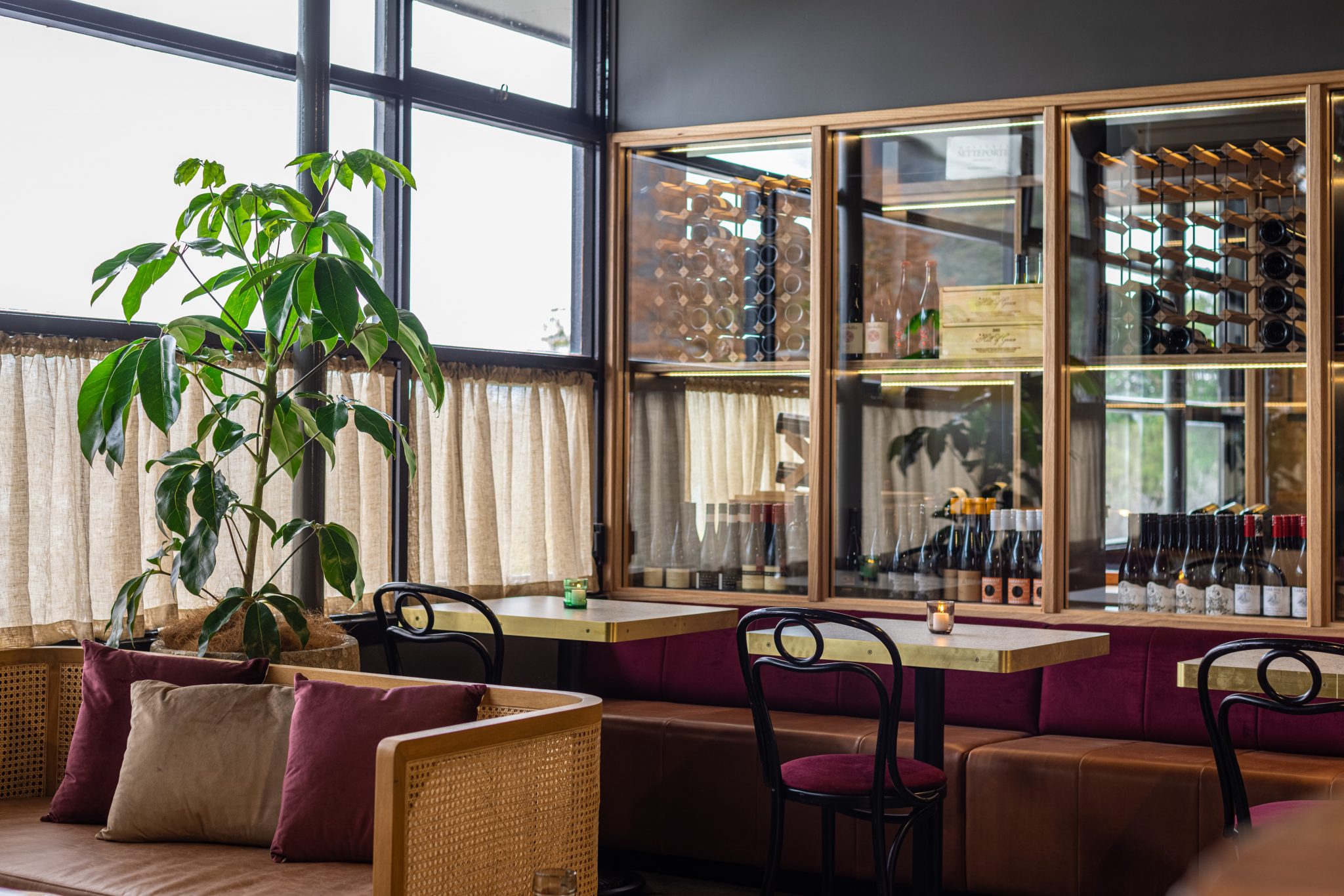 Edgar’s Newest Expansion Wakefield’s Bar & Wine Room OutInCanberra