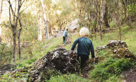 Where to Spend your 1hr a Day Outside