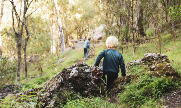 Where to Spend your 1hr a Day Outside