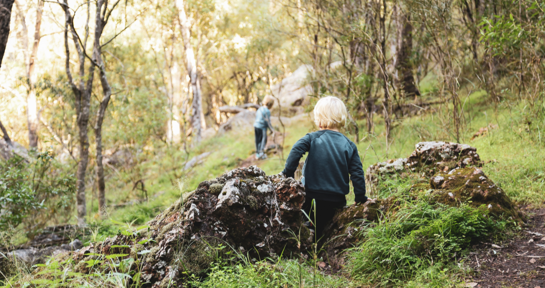 Where to Spend your 1hr a Day Outside