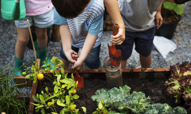 Family-Friendly Online Workshops on Sustainability
