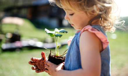 Fun Activities for the Kids these School Holidays