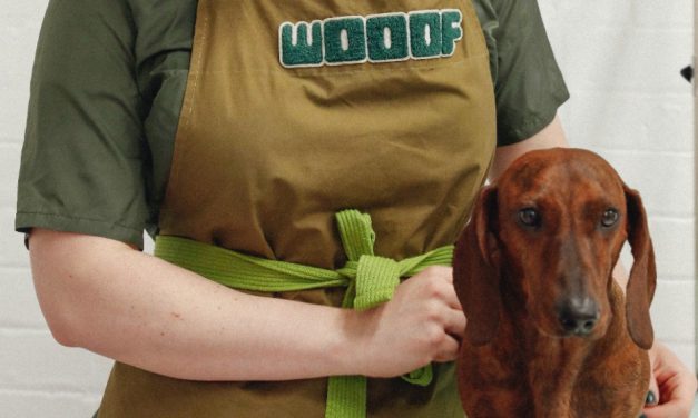 WOOOF: the new premium dog groomers for happy, healthy pups!