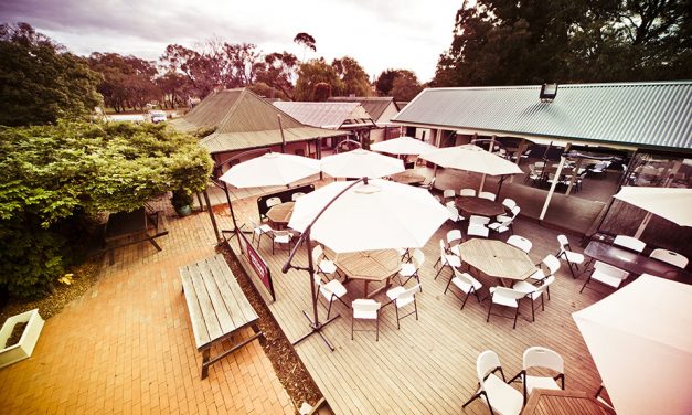 The Deck and Garden Spaces