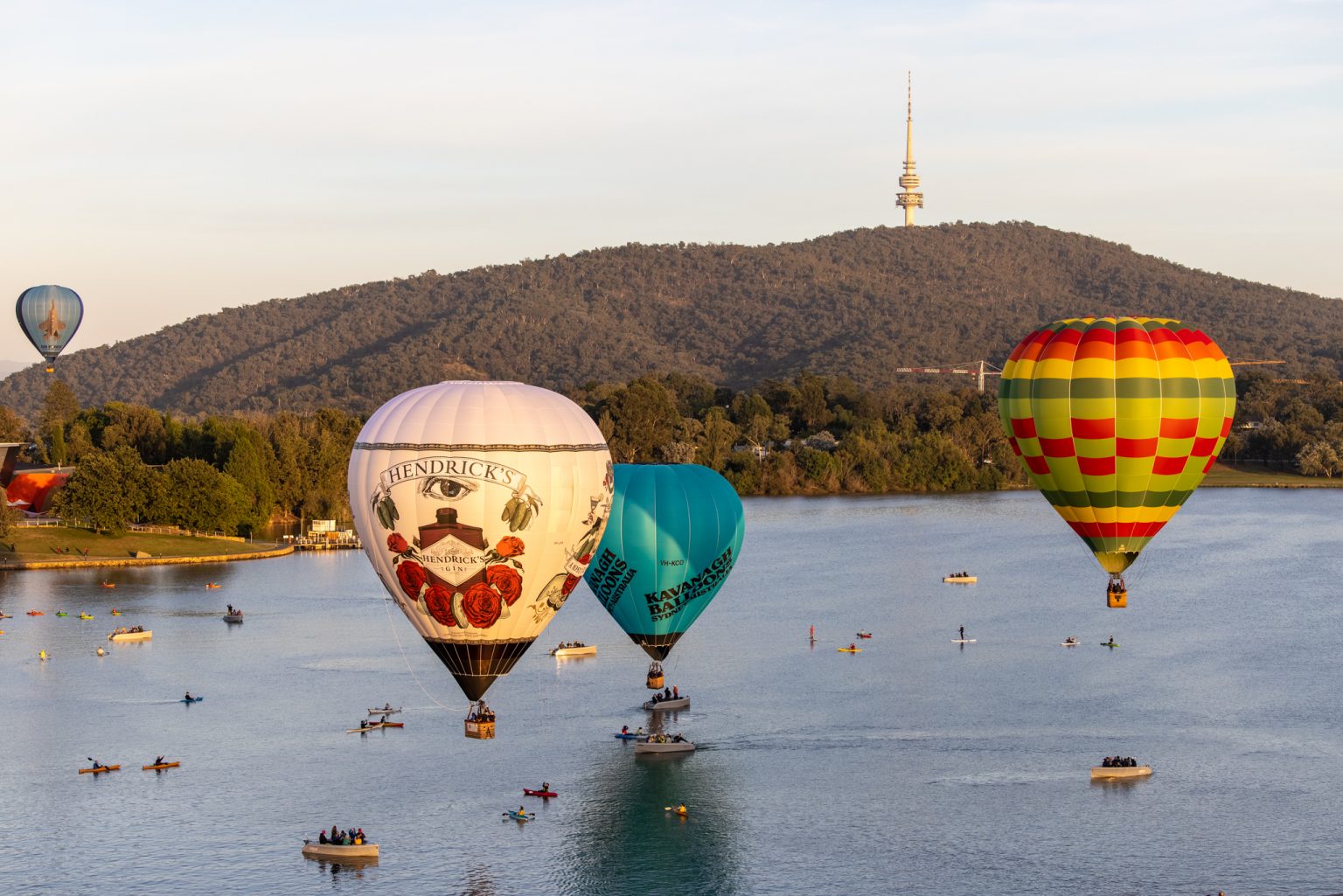 Enlighten Festival Canberra’s Favourite Event & Attraction OutInCanberra