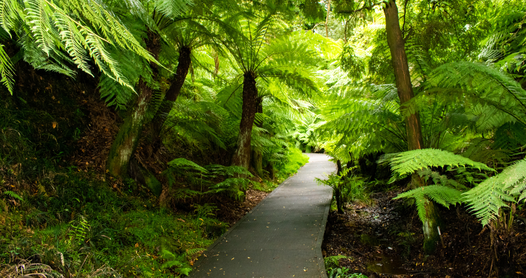 Best free things to do in Canberra
