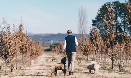 Meet our CBR Truffle Trail Growers
