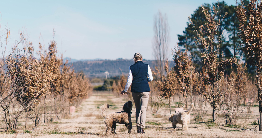 Meet our CBR Truffle Trail Growers