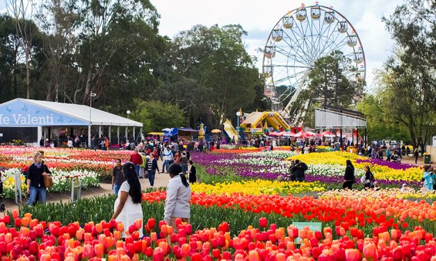 What’s on this weekend