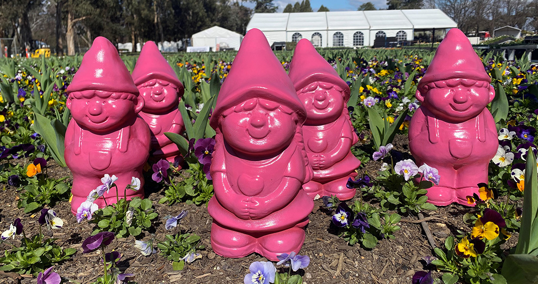 Floriade Celebrates its 35th year with a Canberra-wide pink gnome hunt