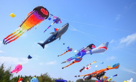 What’s on this weekend