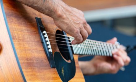 Snapper & Co January Live Music