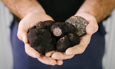 Drop everything, it’s truffle time!
