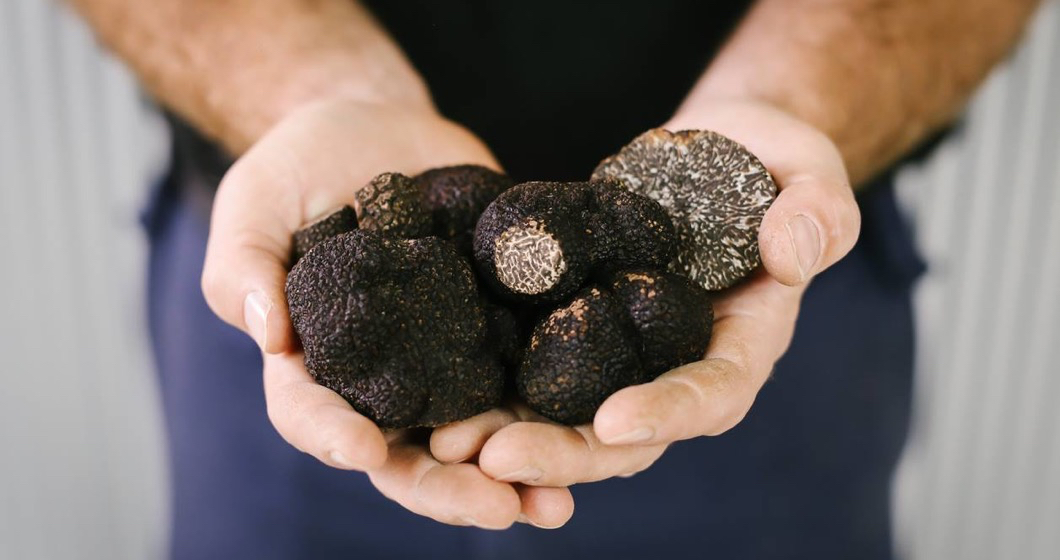 Drop everything, it’s truffle time!