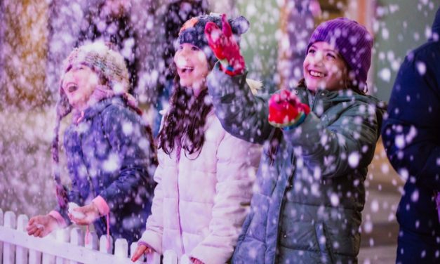 5 things to do in Canberra for school holidays