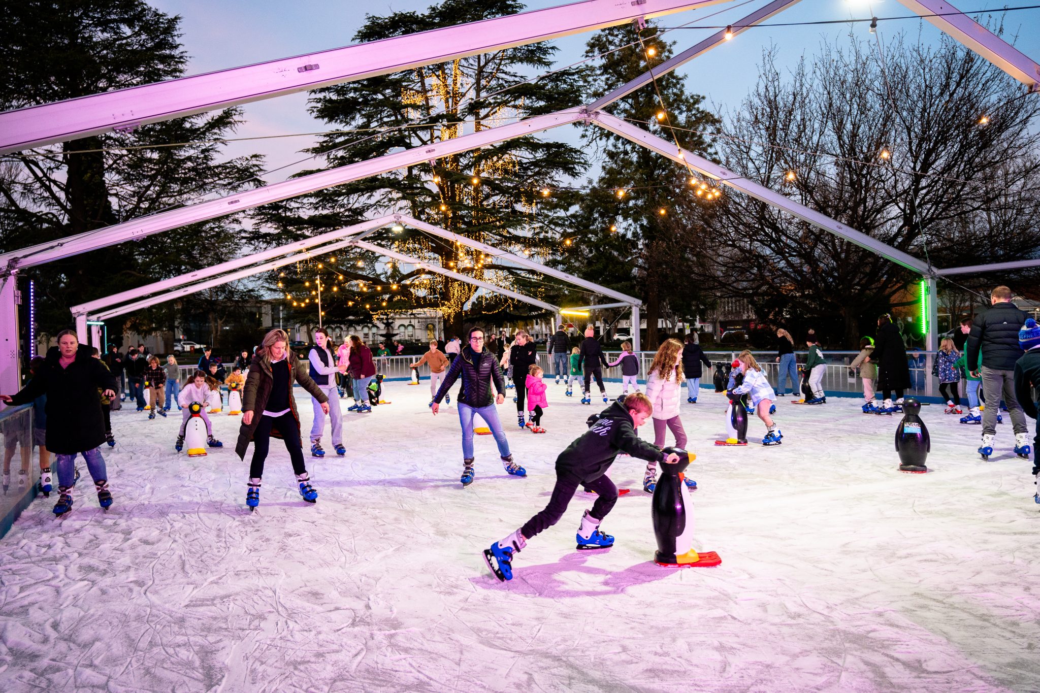 Foodie hub, ice skating and light installations Wagga Wagga’s Festival