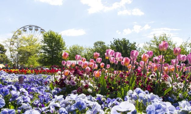 Floriade 2024: Highlights and what’s new