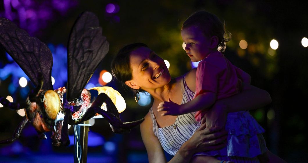 Glebe Park transforms into an enchanted woodland as part of Enlighten Beyond