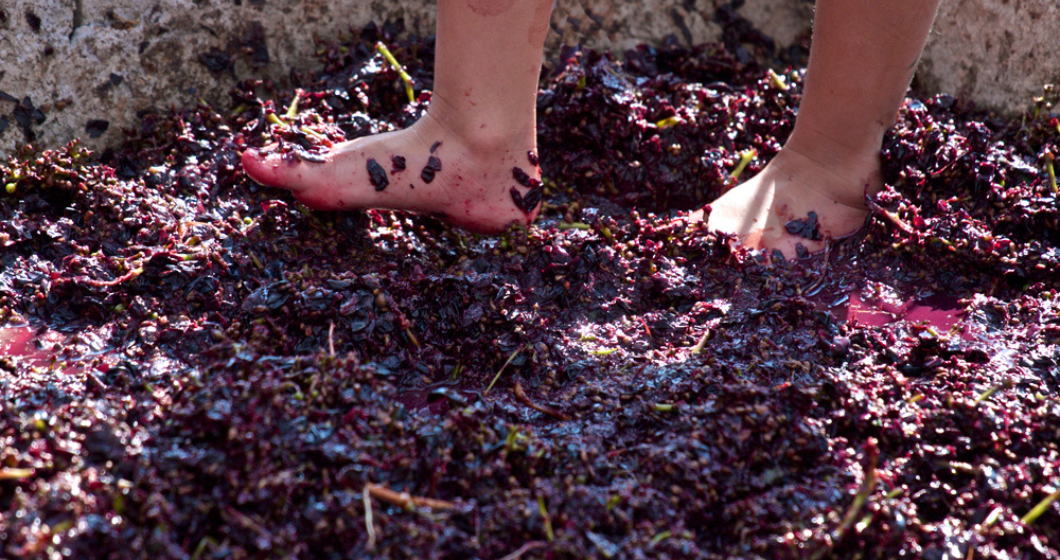 Grape stomping, vintage tastings, and long lunches: see what’s on at this year’s Stomp Festival