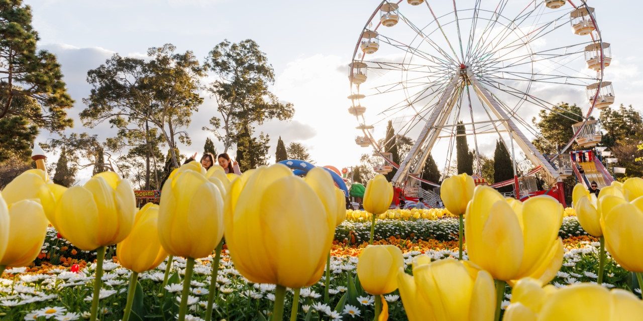 Floriade 2025: Science, Nature & Colour in Full Bloom