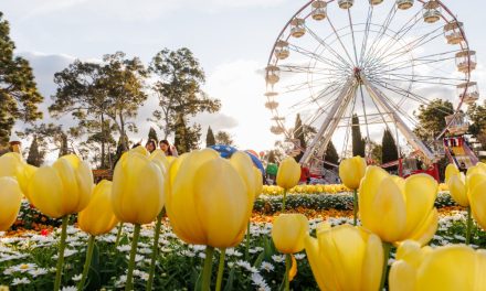 Floriade 2025: Science, Nature & Colour in Full Bloom