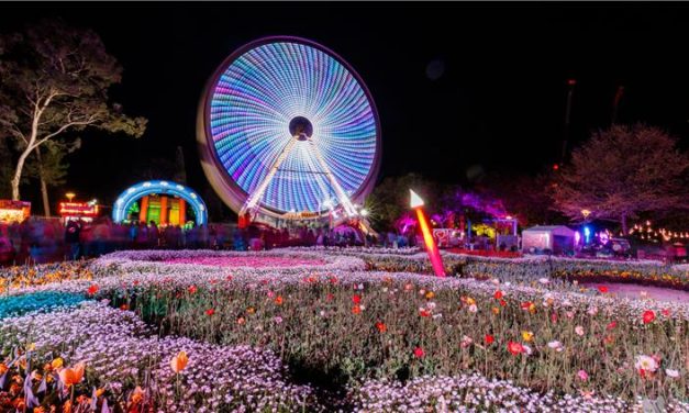 NightFest 2025: Floriade’s Dazzling After-Dark Experience Returns