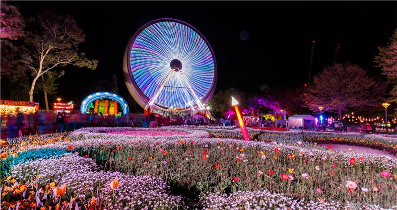 NightFest 2025: Floriade’s Dazzling After-Dark Experience Returns