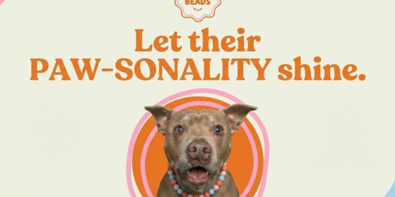 Happy Beads Turning Dog Accessories into Wearable Art