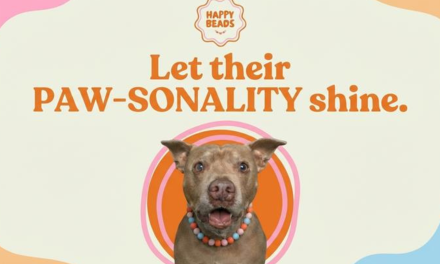 Happy Beads Turning Dog Accessories into Wearable Art