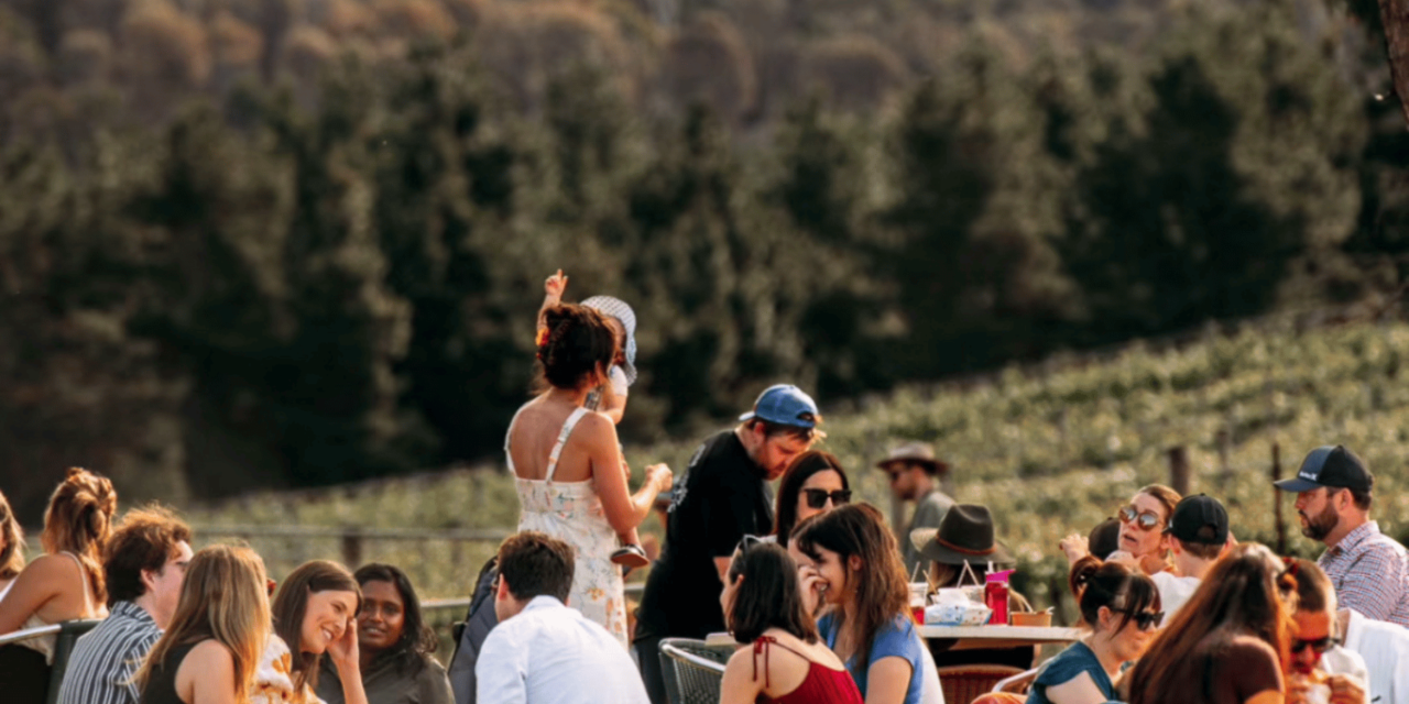 The Canberra Wine District’s Stomp Festival: Tastings, Music and Stomping Sessions