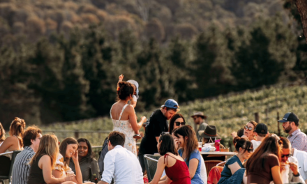 The Canberra Wine District’s Stomp Festival: Tastings, Music and Stomping Sessions