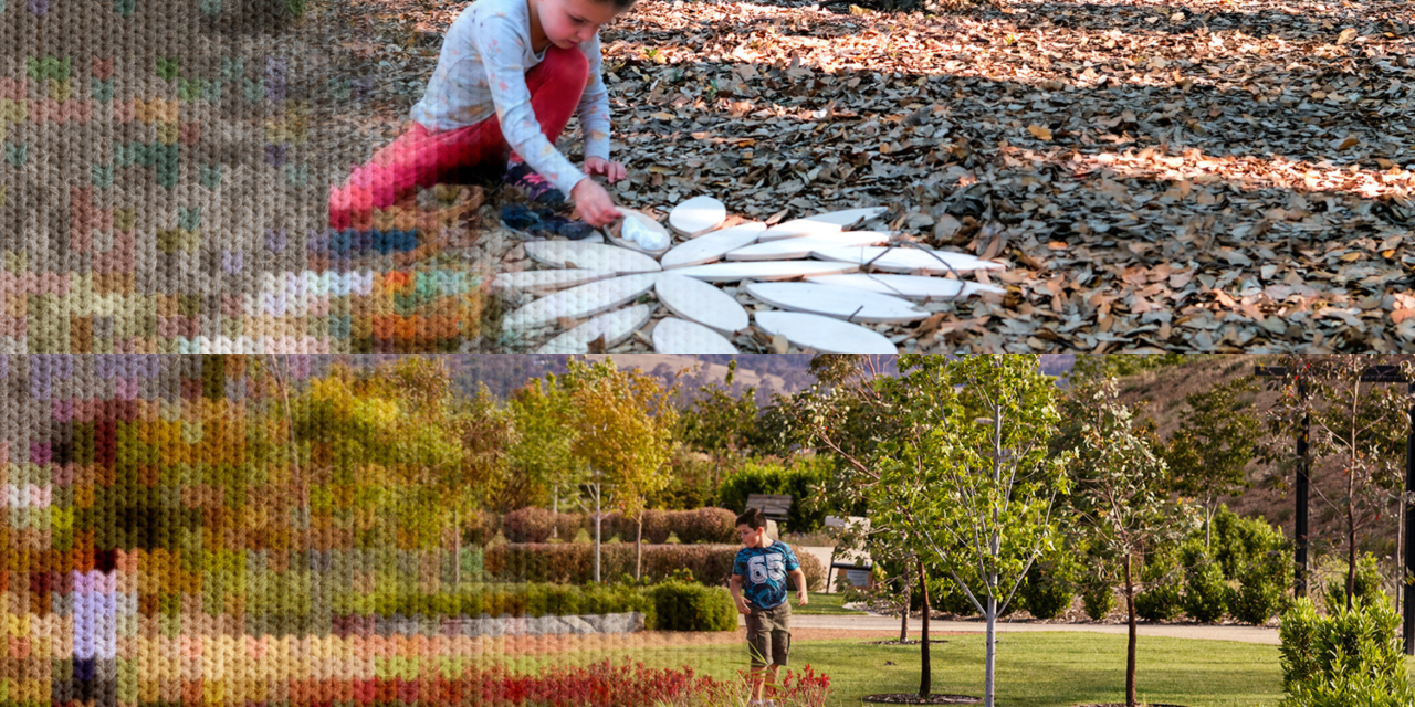Why the Arboretum Is a Must-Visit These School Holidays