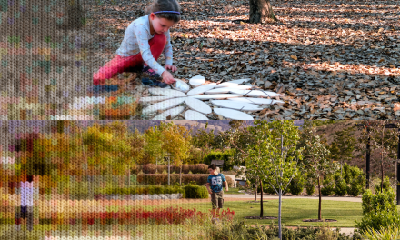 Why the Arboretum Is a Must-Visit These School Holidays