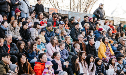 If you go I’ll go: The Forage at Belco’s Lakeside
